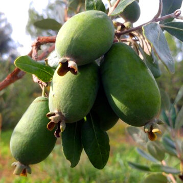 c7456707-95b2-47a5-9765-492d41de4845 c7456707-95b2-47a5-9765-492d41de4845