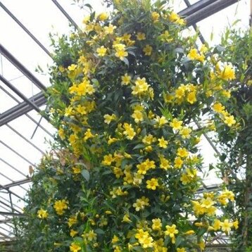 7d5ea268-f296-44b1-bdcc-87988fc34f3e 7d5ea268-f296-44b1-bdcc-87988fc34f3e