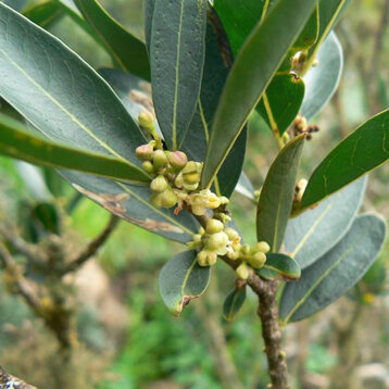 f70e945a-cad9-49fb-8eed-9c15fb95a9d4