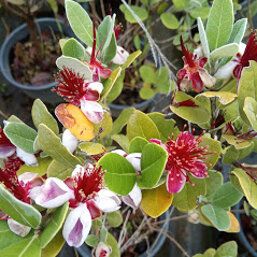 823699bf-3cb6-4e08-902a-372e84103740