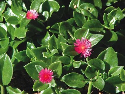 8f7af85f-888e-4b95-a26d-151695ae9211 8f7af85f-888e-4b95-a26d-151695ae9211