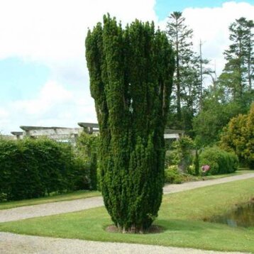 94859761-9515-43de-8856-f05cf75dd4ec 94859761-9515-43de-8856-f05cf75dd4ec