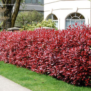 955a96c1-e2d3-4f52-8c90-66d60bd51adf