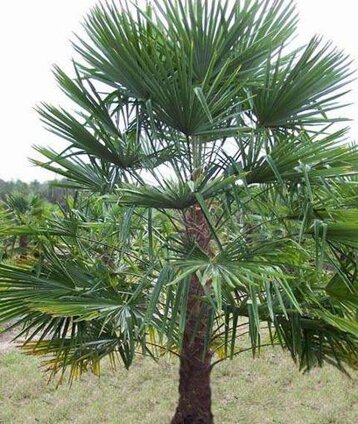 cd9dda06-3193-4035-b6e2-038a81e27597