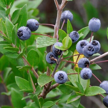 9948bb9b-55b2-4fb8-ae2d-668828e00b85