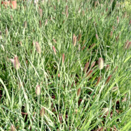 2ac1c1e7-d042-4d79-b09a-4a91981bcb27