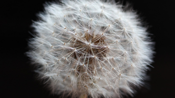 850f2b70-aa1a-4048-9d42-2fefdffcedc8 850f2b70-aa1a-4048-9d42-2fefdffcedc8