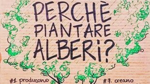 dd75a662-39f0-4cdd-ae9a-1eabb2065c58