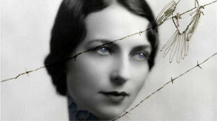 43318044-82df-495e-b770-1c97f25db0d2