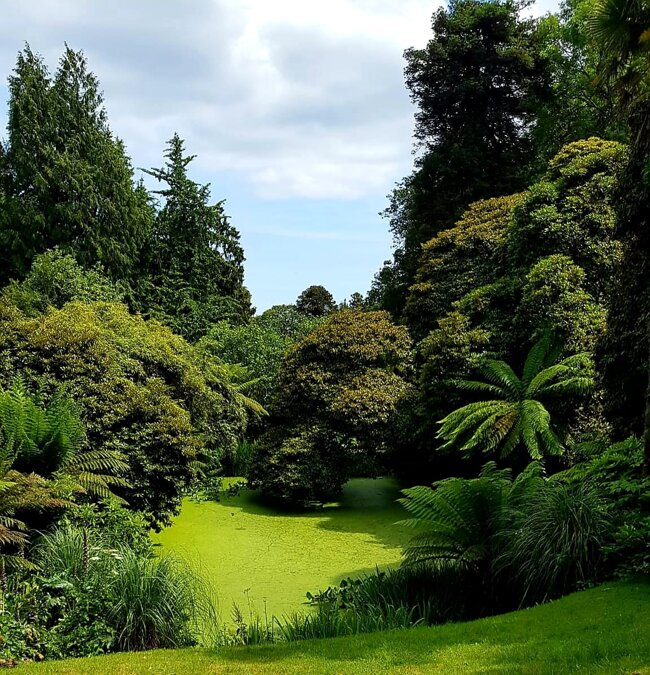 d1f5edf6-2297-4131-80c6-1d22cd69cbe4 d1f5edf6-2297-4131-80c6-1d22cd69cbe4