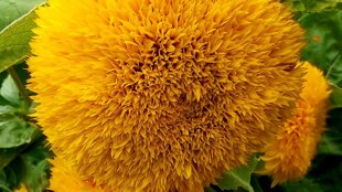 cdbb2260-4216-4822-ad83-2cb01ad71caa