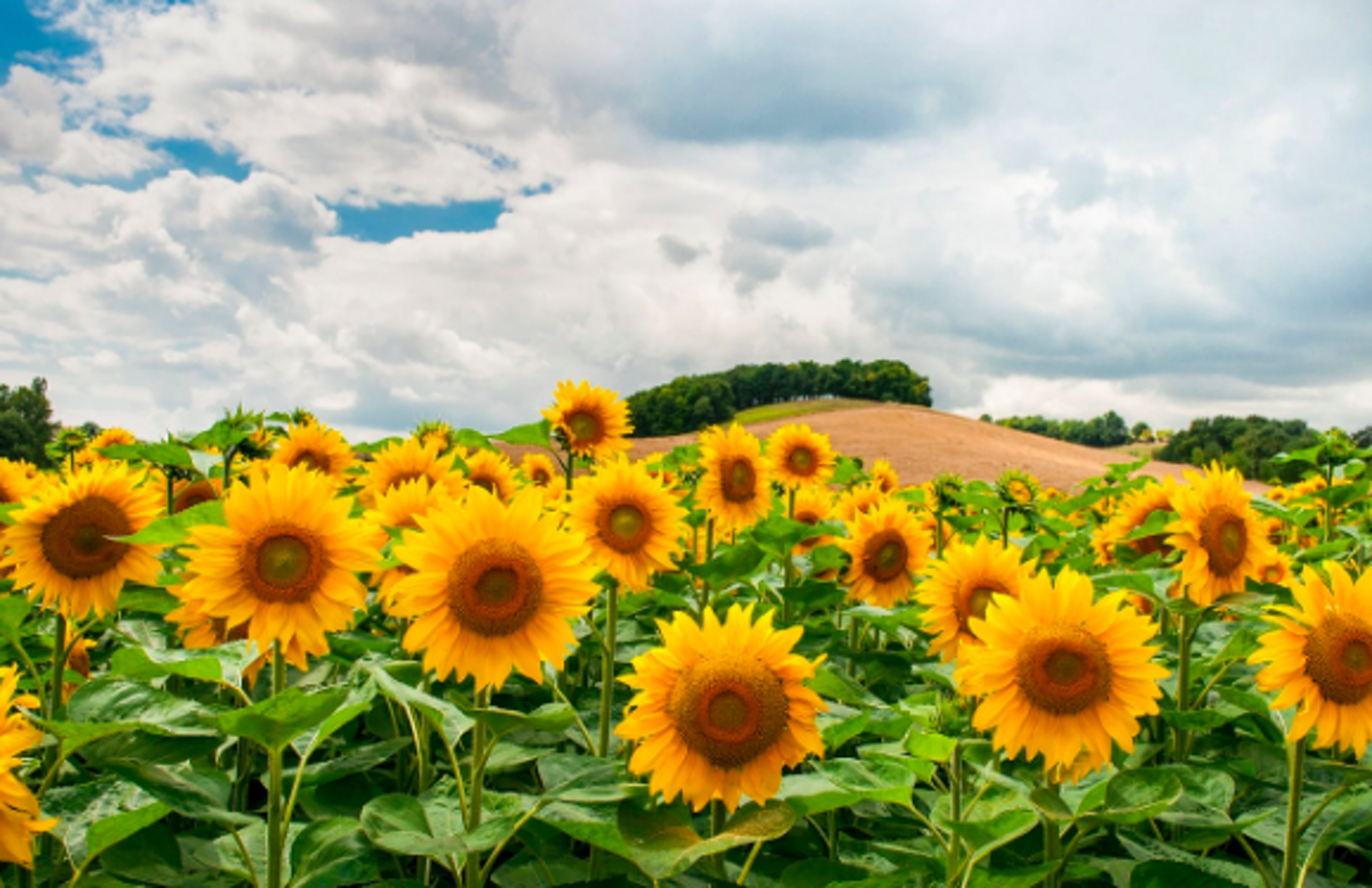 8bbc20a8-7bb8-406b-821c-c5c3a8d915de