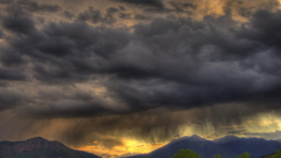 71939a5f-f81a-4652-b161-ee4ea9f47f9d