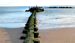 21f91a68-a91a-4ecd-95fc-0f500ebf18a0