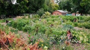 e8a30798-bbd7-4a93-b886-5408f3f9f9cb