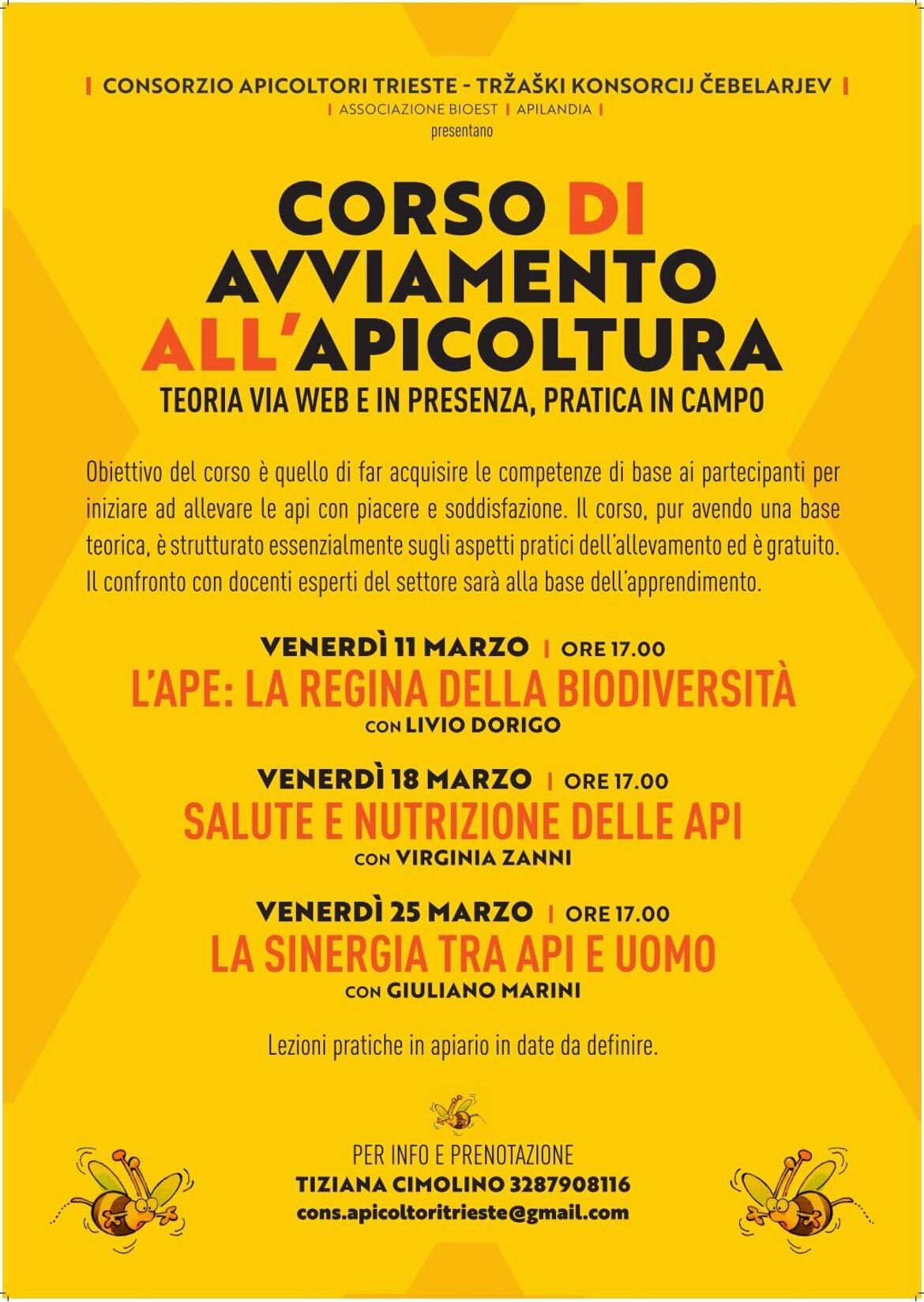 169c16b5-bf1d-4236-a943-eb86303d8530.jpeg 169c16b5-bf1d-4236-a943-eb86303d8530.jpeg