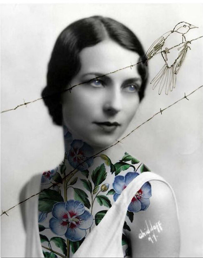 ec98e16b-a673-46db-b653-ff9d28fd9a15