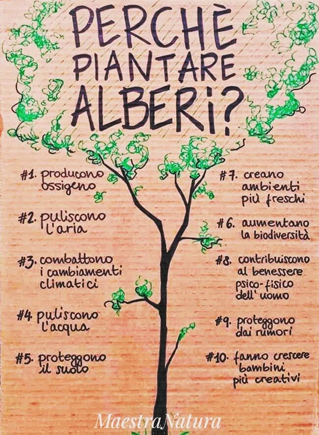 32a3334b-56b1-40bc-b5c3-b025ded81ee5 32a3334b-56b1-40bc-b5c3-b025ded81ee5