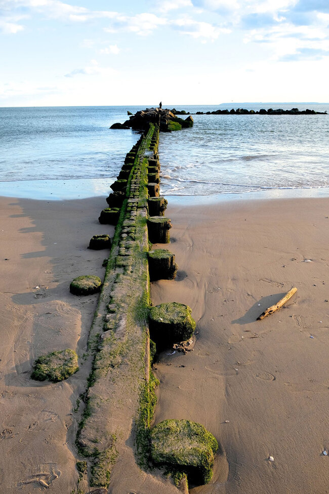 6fb8d21a-d75a-44f4-8e35-8e976c40ea37 6fb8d21a-d75a-44f4-8e35-8e976c40ea37