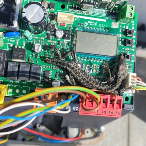 immagine%20whatsapp%202025-12-20%20ore%2020.41.59_673555b7.jpeg immagine%20whatsapp%202025-12-20%20ore%2020.41.59_673555b7.jpeg