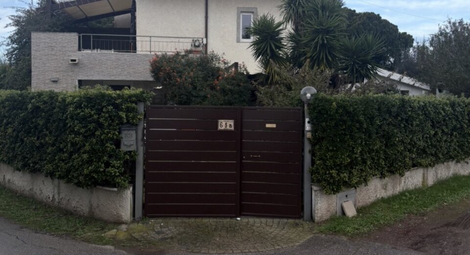 img_6529.jpeg img_6529.jpeg