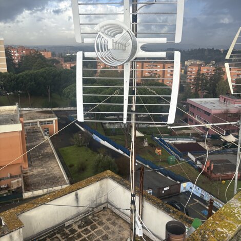 antenna%20aurelia.jpeg antenna%20aurelia.jpeg