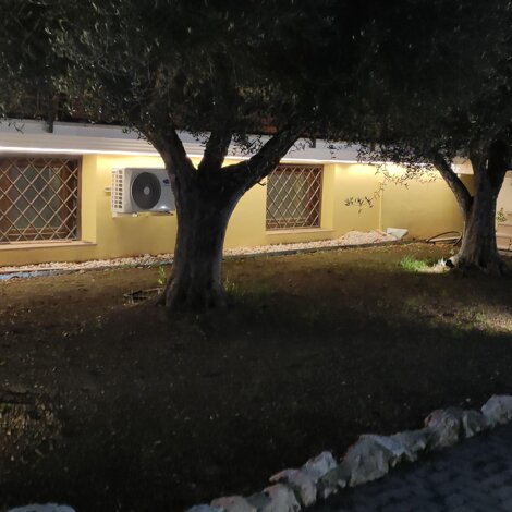 mellano.jpeg mellano.jpeg