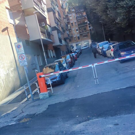 img_6661.jpeg img_6661.jpeg