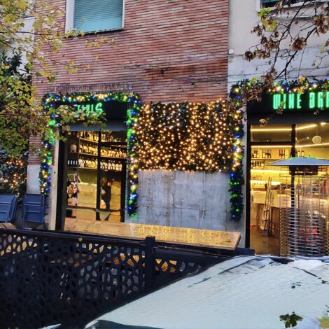 elvis.jpeg elvis.jpeg