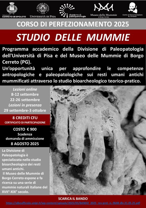 41649770-992d-4d02-8dc6-b40752fac167