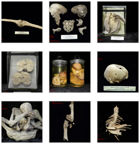 2803bd05-38b4-446a-82c9-6e58f3dd94b2