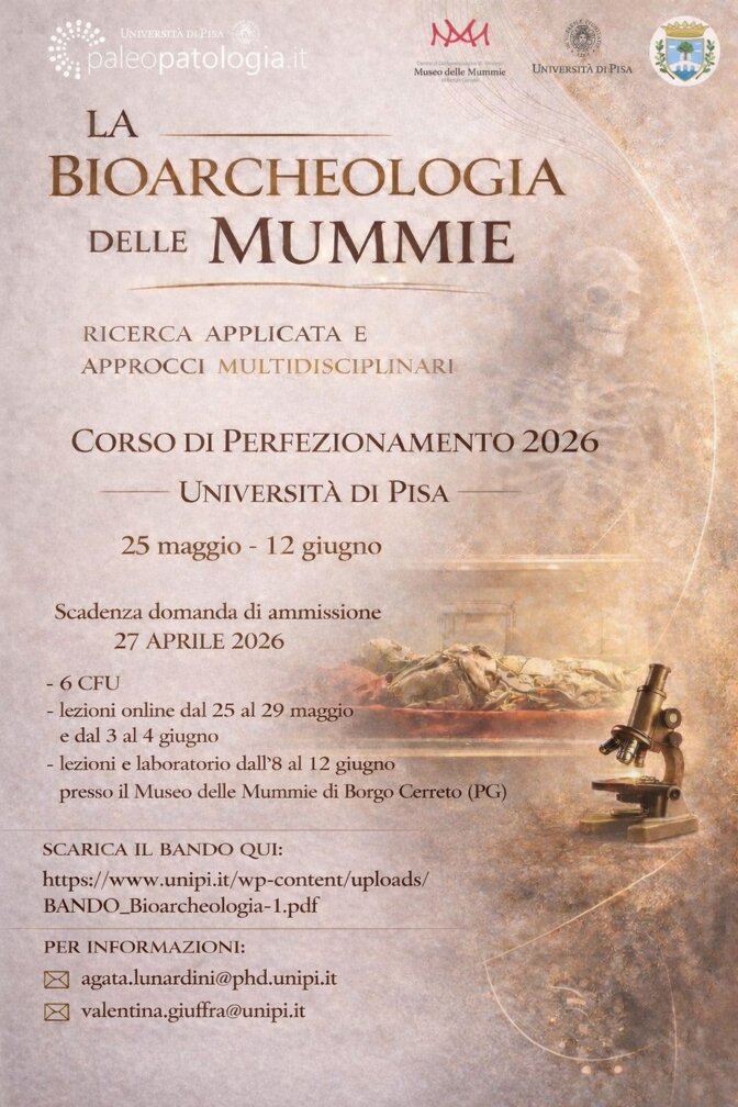 whatsapp image 2026-03-23 at 19.38.53.jpeg