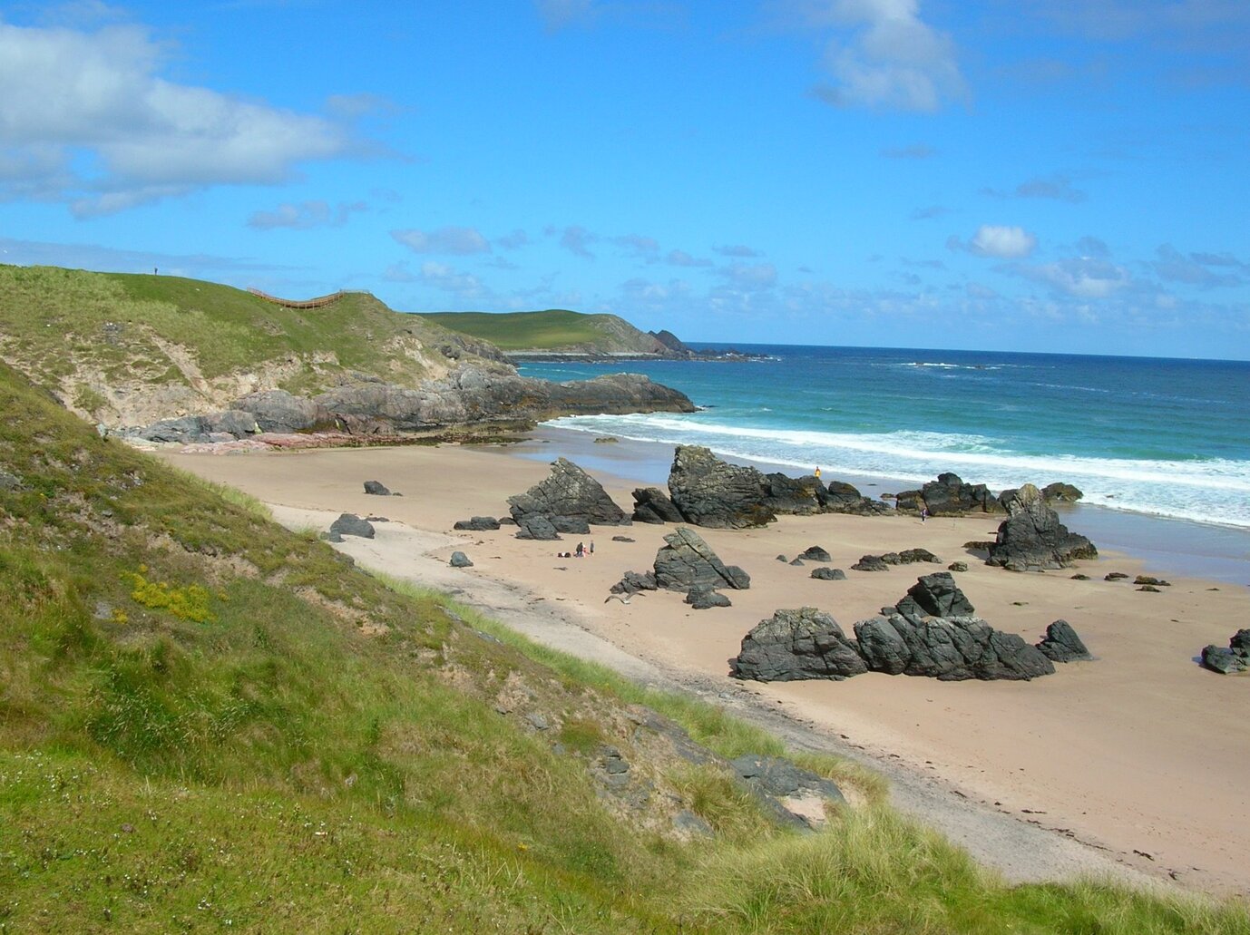 cellularee61 034.jpeg