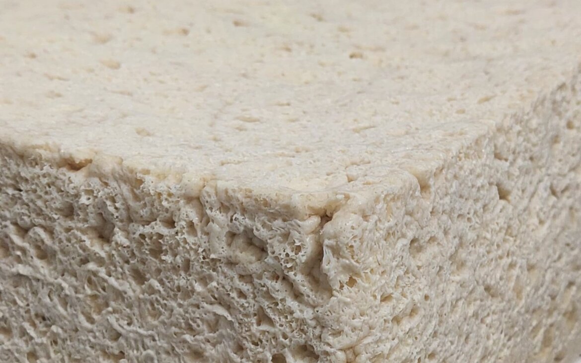 53d87542-fe64-4bd7-a986-1e9cfd377e7a