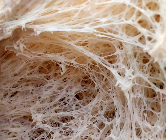 9e4822eb-76cb-4a11-8e05-5a491020a35b