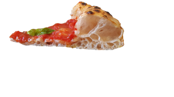 1ca804c4-4c5e-4038-9794-9a4b010284a2 1ca804c4-4c5e-4038-9794-9a4b010284a2