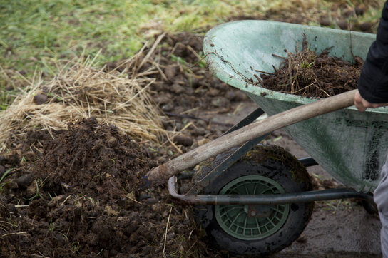 img_3218_web.jpeg img_3218_web.jpeg