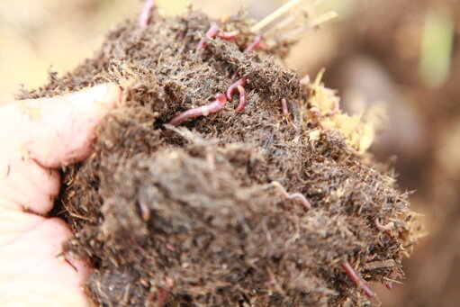 img_3234.jpeg img_3234.jpeg