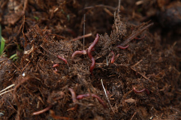 img_3228.jpeg img_3228.jpeg