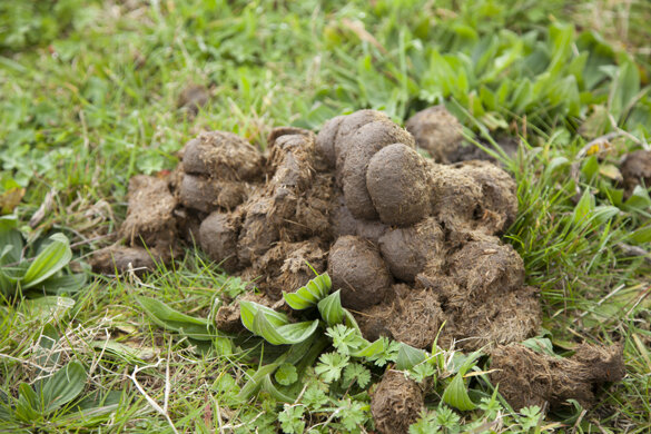 img_3239_web.jpeg img_3239_web.jpeg