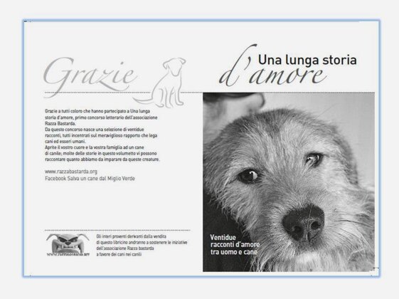 8e5452cf-a63e-4722-93f2-83cff3b5316b