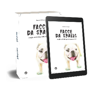 9f21704f-2a2f-4934-a4eb-beb267bb6f66