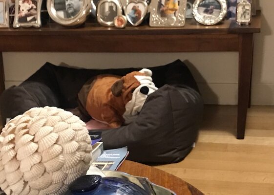 2bbaa55e-3b62-4b33-a87d-de7a8e3a3f5d