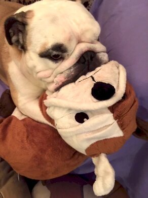 d15fc7a5-f1ad-45f3-ae98-541aeeb38cb0