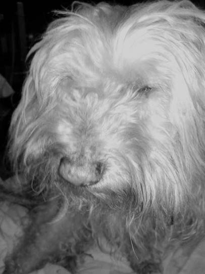 aea489ef-823e-406b-9a87-2fd87e8ef2f5