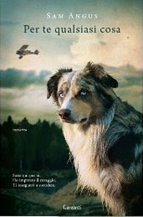 3d92f70a-60d0-4e27-8cd1-7750f190a879