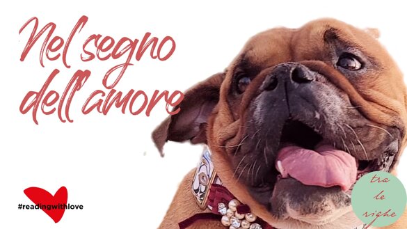 18494b29-a2e3-47d9-b197-c034af0a0b7b