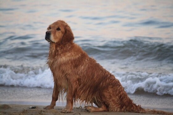 435d9048-0673-4434-a5bc-54b14b488f27