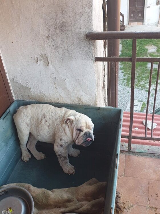 a94a33d1-80dc-46ed-a911-135bd6145d62