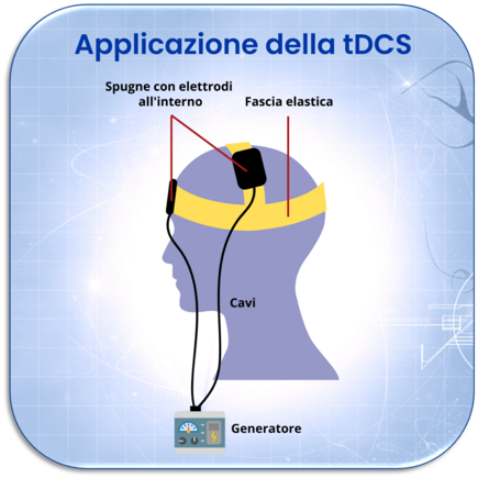 6ddb5186-0b28-4a97-b96d-8b78a83fa6e8 6ddb5186-0b28-4a97-b96d-8b78a83fa6e8
